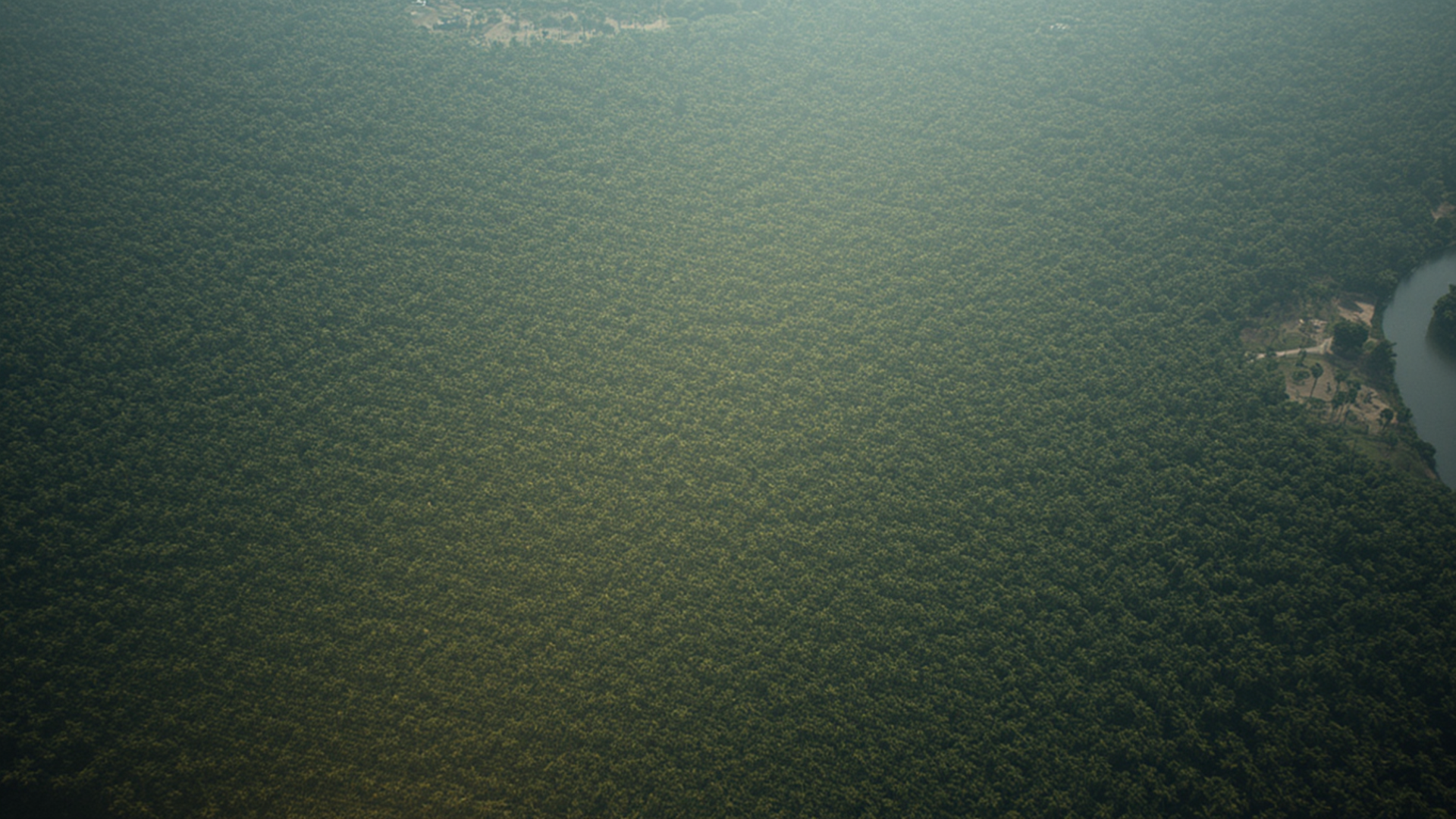 Aerial view of forest and river landscape in Kedah, Malaysia